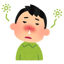 症状 花粉 だるい 症 アレルギー性鼻炎、風邪、インフルエンザの見分け方